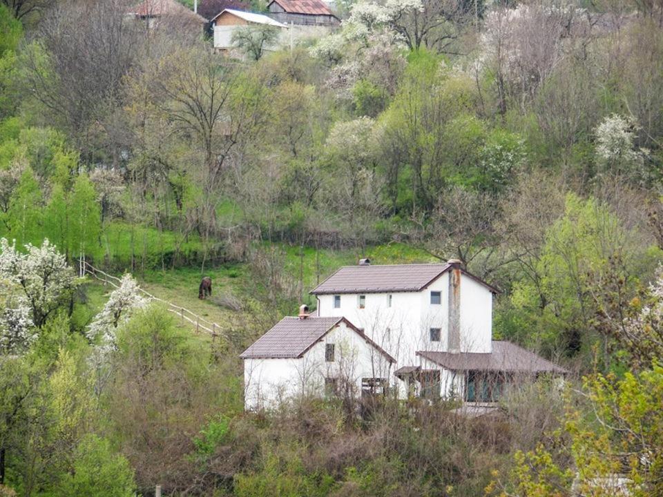 Вілла Casa Piscul Lupului Pucioasa Екстер'єр фото